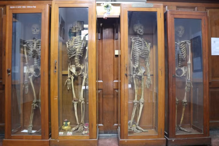 thanh nien "cung" cung phat khiep khi buoc chan vao bao tang chet choc nay hinh anh 2