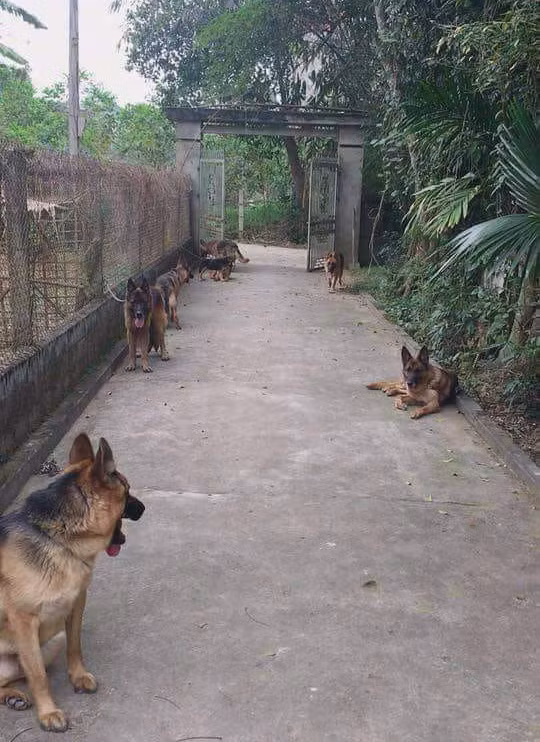 Đường vào nhà em