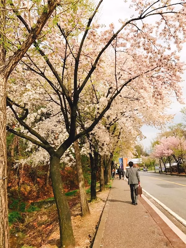 Nữ sinh du học Hàn: Rửa 2000 cái dĩa/ngày chỉ đủ trả học phí