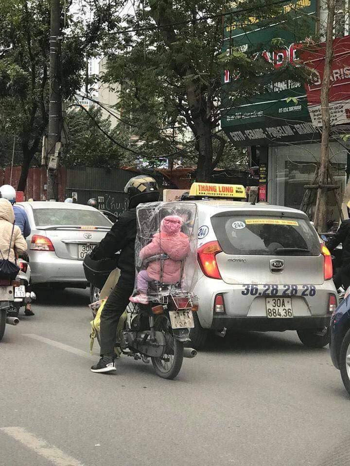 Trẻ em như búp trên cành.