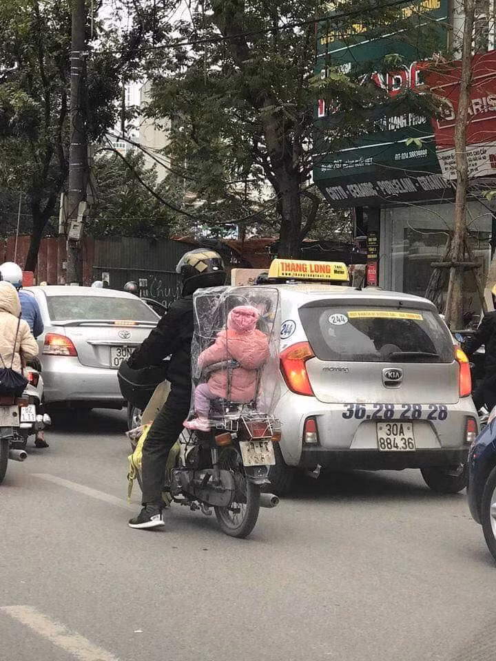 Trẻ em như búp trên cành.