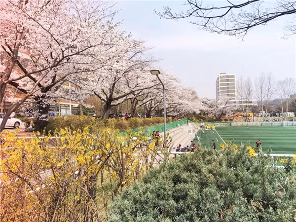  Hàn Quốc không chỉ thơ mộng như&nbsp;phim mà còn là thử thách với những du sinh.