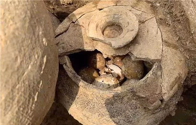 trung ngan nam tuoi bat ngo tim thay trong chiec vai o ngoi mo co hinh anh 2