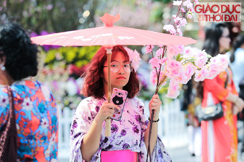 Giới trẻ Hà thành hào hứng check-in cùng hoa Anh đào Nhật Bản ảnh 5