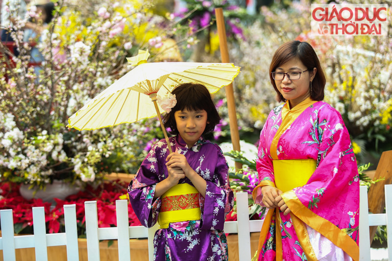 Giới trẻ Hà thành hào hứng check-in cùng hoa Anh đào Nhật Bản ảnh 6