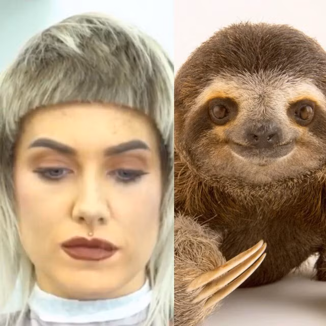 canh dan ong xon xang khi vo di cat toc ve hinh anh 12