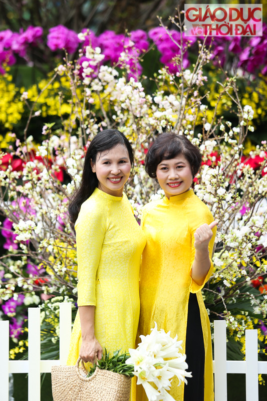 Giới trẻ Hà thành hào hứng check-in cùng hoa Anh đào Nhật Bản ảnh 4