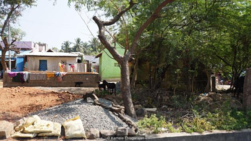 Bí ẩn về nơi người dân đi chân đất, tay cầm dép ảnh 3 Phần lớn người dân làm nông, canh tác ngay trên các cánh đồng lúa gần nhà. Ảnh: BBC.