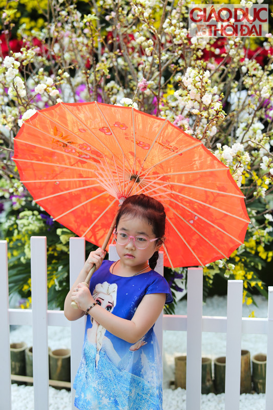 Giới trẻ Hà thành hào hứng check-in cùng hoa Anh đào Nhật Bản ảnh 8