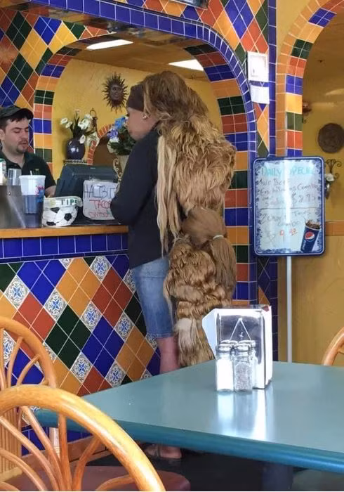 canh dan ong xon xang khi vo di cat toc ve hinh anh 13