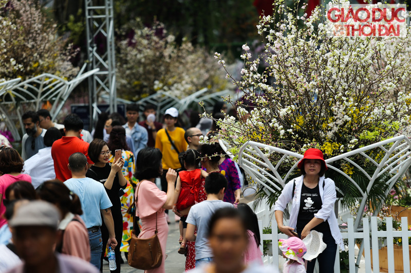 Ngay từ sáng nay, rất đông người dân thủ đô đến tham quan Lễ hội Hoa anh đào bất chấp thời tiết nắng nóng.