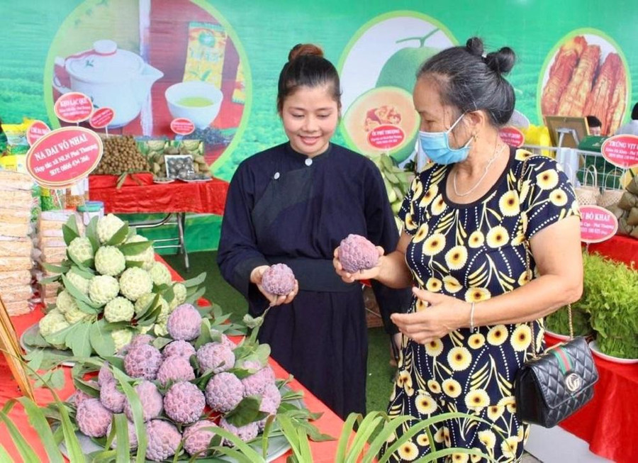Sản phẩm na của huyện Võ Nhai được trưng bày tại chương trình xúc tiến kết nối tiêu thụ sản phẩm nông sản Sản phẩm na của huyện Võ Nhai được trưng bày tại chương trình xúc tiến kết nối tiêu thụ sản phẩm nông sản