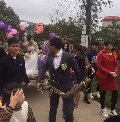 Chiếc xe bò là phương tiện được chú rể dùng để đón nàng về dinh.