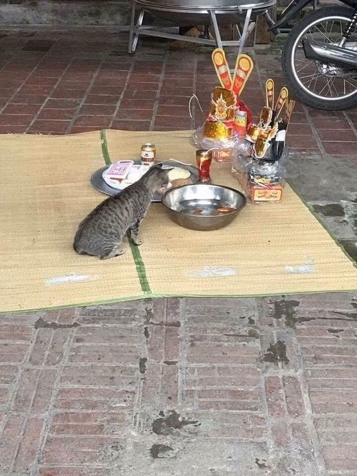 Bị canh như thế này thì làm sao hóa rồng?