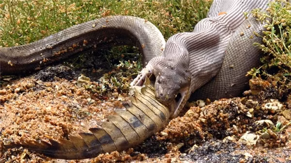 Còn những lúc khác thì…