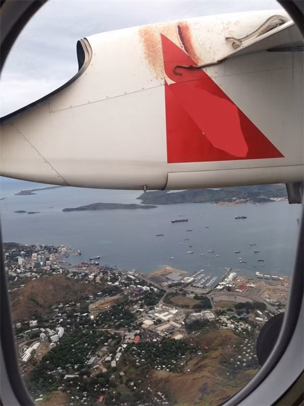 Và rắn đi lậu vé máy bay (con rắn này dài đến 3m và đã đi lậu vé thành công đến Papua New Guinea mà vẫn còn sống sót dưới sức gió gần 500km/h và nhiệt độ xuống dưới -12C°).