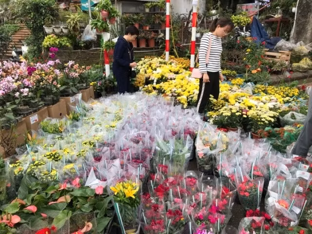 Những loại hoa này có giá rẻ hơn các ngày khác vì không để được lâu Những loại hoa này có giá rẻ hơn các ngày khác vì không để được lâu