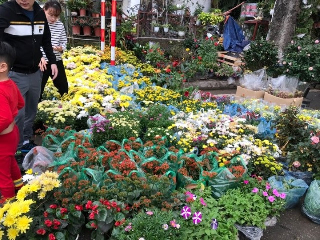 Thậm chí, với thời tiết Hà Nội mưa, những loại hoa này dễ bị hỏng và kém sắc Thậm chí, với thời tiết Hà Nội mưa, những loại hoa này dễ bị hỏng và kém sắc