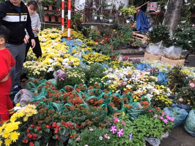 Thậm chí, với thời tiết Hà Nội mưa, những loại hoa này dễ bị hỏng và kém sắc Thậm chí, với thời tiết Hà Nội mưa, những loại hoa này dễ bị hỏng và kém sắc