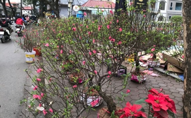 Chợ hoa chiều 30 tết ở Hà Nội mưa và vắng người mua Chợ hoa chiều 30 tết ở Hà Nội mưa và vắng người mua