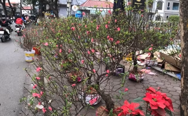 Chợ hoa chiều 30 tết ở Hà Nội mưa và vắng người mua Chợ hoa chiều 30 tết ở Hà Nội mưa và vắng người mua