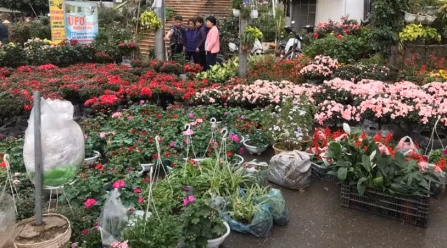 Thương lái không phá giá hoa chiều 30 Tết