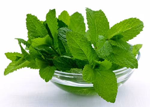 4 bài thuốc đông y chữa hôi nách