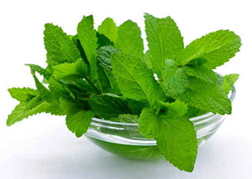 4 bài thuốc đông y chữa hôi nách - 3