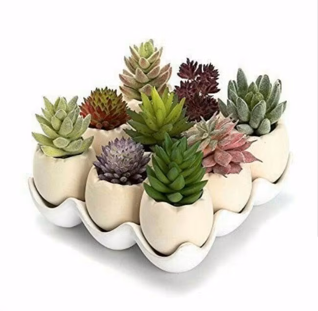 Cách tự làm khu vườn mini xanh tươi và sống động từ vỏ trứng vừa rẻ vừa đẹp - Ảnh 7.