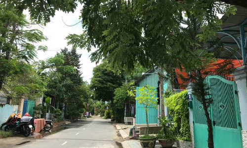 Ảnh minh họa: Hoàng Anh
