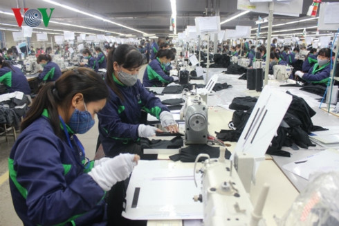thưởng tết nguyên đán kỷ hợi 2019 cao hơn năm trước? hình 1 thuong tet nguyen dan ky hoi 2019 cao hon nam truoc? hinh 1