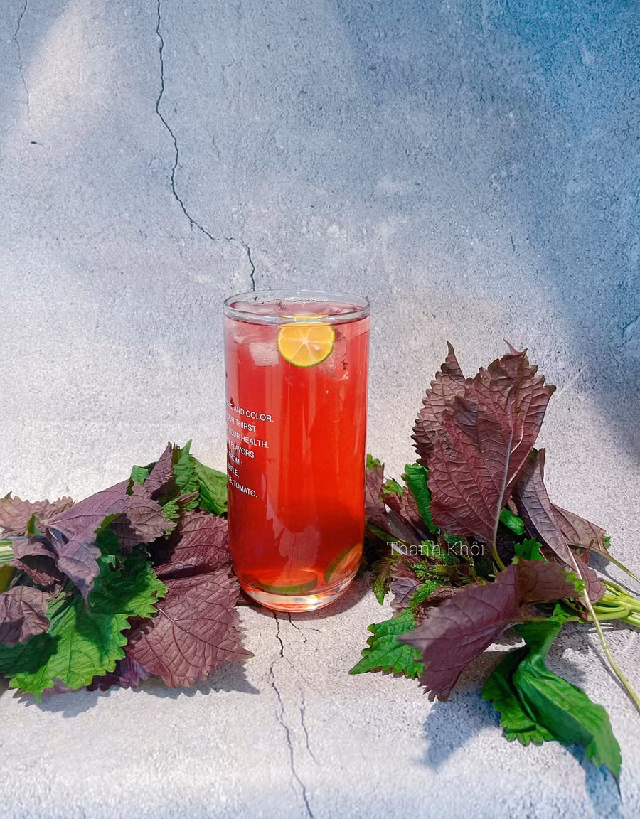 Lá tía tô rất tốt nhưng những người này không nên dùng