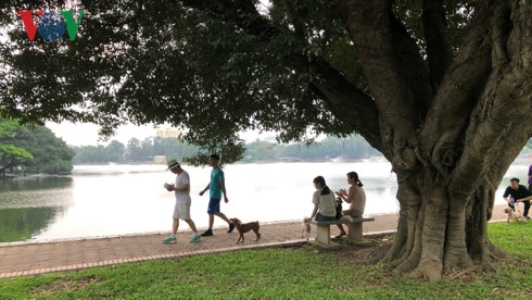 kinh hai cho khong ro mom chay rong trong cong vien thong nhat hinh 19