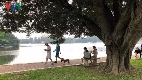 kinh hai cho khong ro mom chay rong trong cong vien thong nhat hinh 19