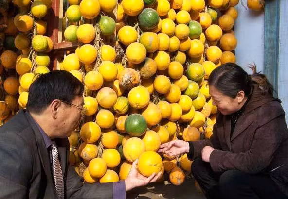 trieu phu bo viec, dat vo con ve que trong dua gang va cai ket - 2