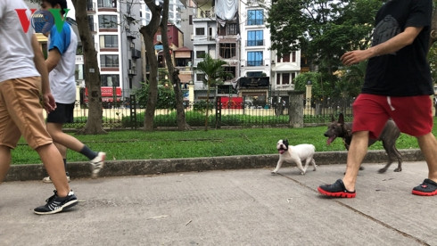 kinh hai cho khong ro mom chay rong trong cong vien thong nhat hinh 20