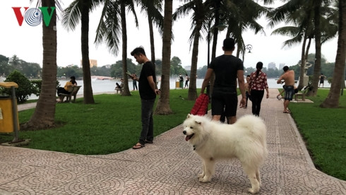 kinh hai cho khong ro mom chay rong trong cong vien thong nhat hinh 1