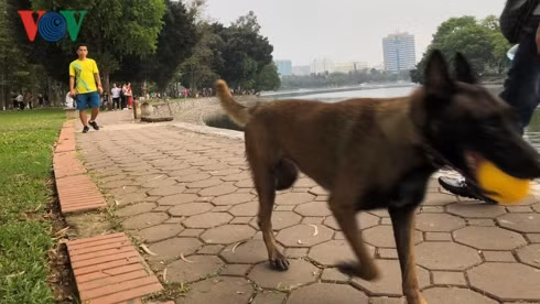 kinh hai cho khong ro mom chay rong trong cong vien thong nhat hinh 3