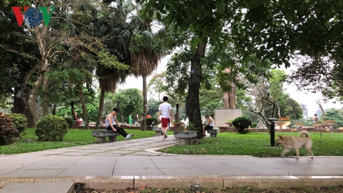 kinh hai cho khong ro mom chay rong trong cong vien thong nhat hinh 2