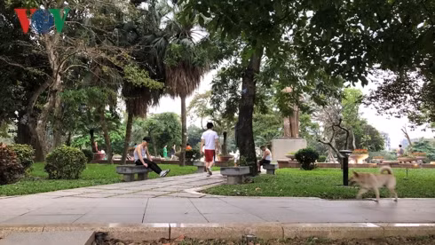 kinh hai cho khong ro mom chay rong trong cong vien thong nhat hinh 2