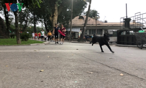 kinh hai cho khong ro mom chay rong trong cong vien thong nhat hinh 15