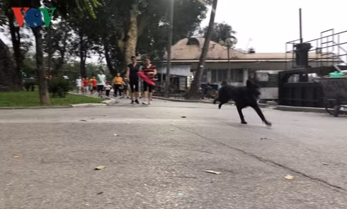 kinh hai cho khong ro mom chay rong trong cong vien thong nhat hinh 15