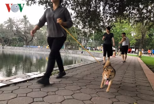 kinh hai cho khong ro mom chay rong trong cong vien thong nhat hinh 7