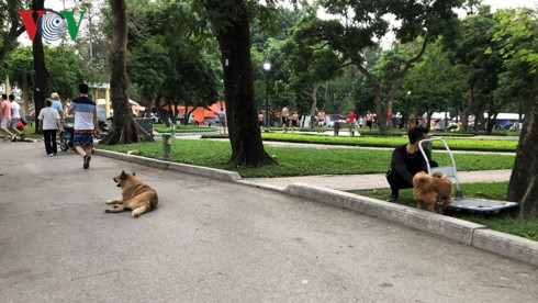 kinh hai cho khong ro mom chay rong trong cong vien thong nhat hinh 5