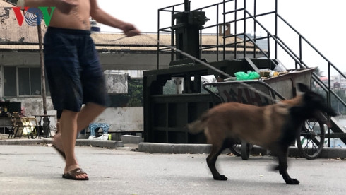 kinh hai cho khong ro mom chay rong trong cong vien thong nhat hinh 16