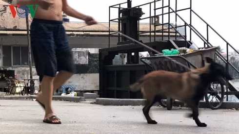 kinh hai cho khong ro mom chay rong trong cong vien thong nhat hinh 16