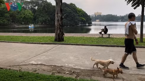 kinh hai cho khong ro mom chay rong trong cong vien thong nhat hinh 8