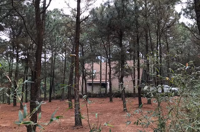 “Xẻ thịt” rừng Sóc Sơn: Mạnh tay với nhà nhỏ, nương tay với “biệt phủ”? - 1