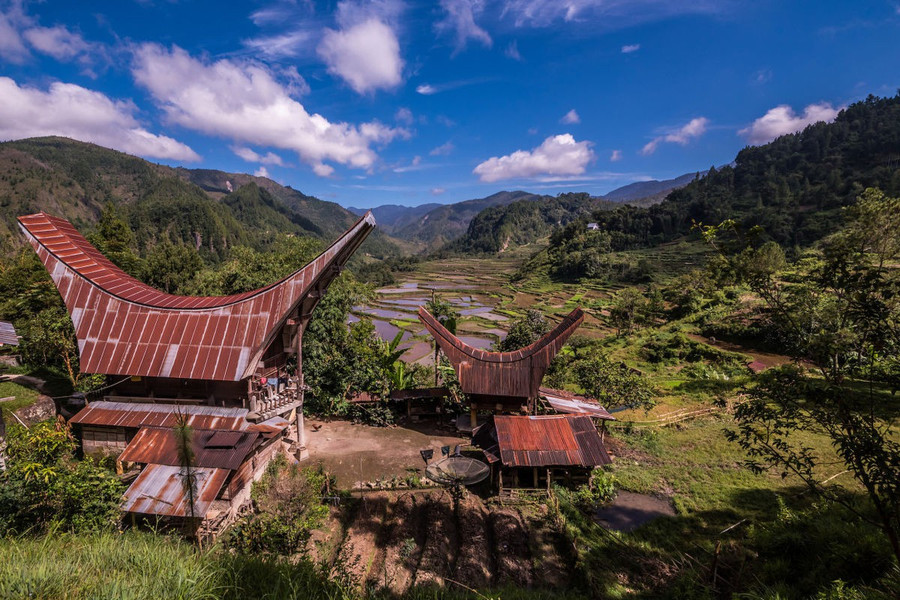 Bộ lạc văn minh nhưng có tập tục mai táng rùng rợn nhất thế giới: Sống chung với xác chết đến khi nào con cháu đủ tiền tỷ làm đám ma thì chôn - Ảnh 14. Bộ lạc văn minh nhưng có tập tục mai táng rùng rợn nhất thế giới: Sống chung với xác chết đến khi nào con cháu đủ tiền tỷ làm đám ma thì chôn - Ảnh 14.