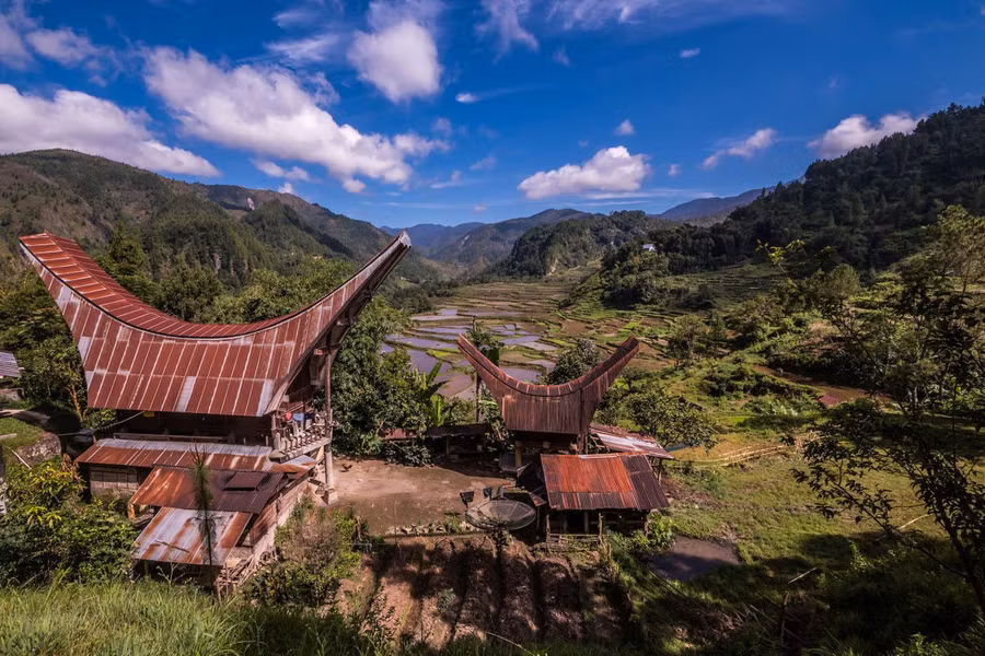 Bộ lạc văn minh nhưng có tập tục mai táng rùng rợn nhất thế giới: Sống chung với xác chết đến khi nào con cháu đủ tiền tỷ làm đám ma thì chôn - Ảnh 14.